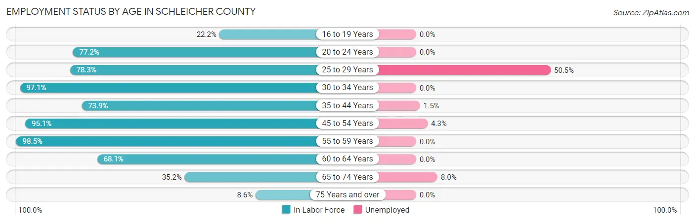 Employment Status by Age in Schleicher County