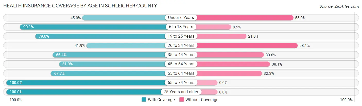 Health Insurance Coverage by Age in Schleicher County
