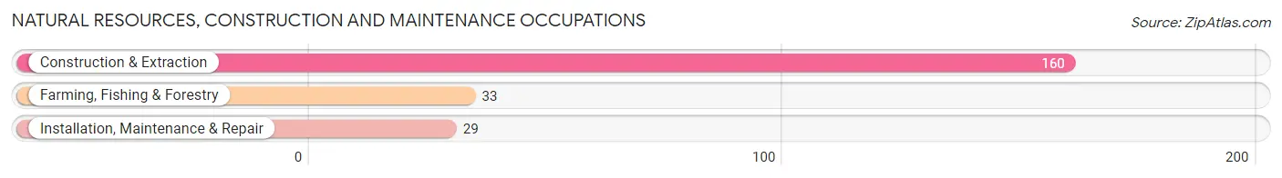 Natural Resources, Construction and Maintenance Occupations in Schleicher County