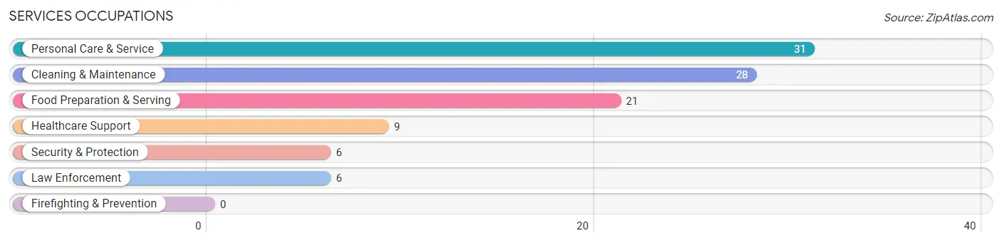 Services Occupations in Schleicher County