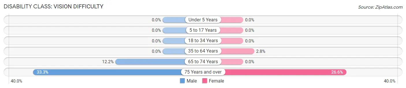 Disability in Schleicher County: <span>Vision Difficulty</span>
