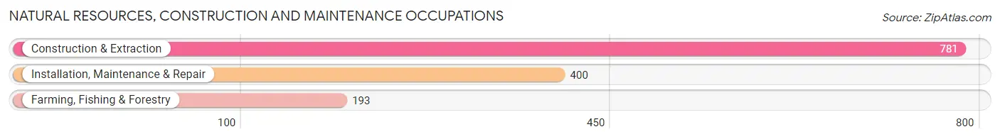 Natural Resources, Construction and Maintenance Occupations in Shelby County