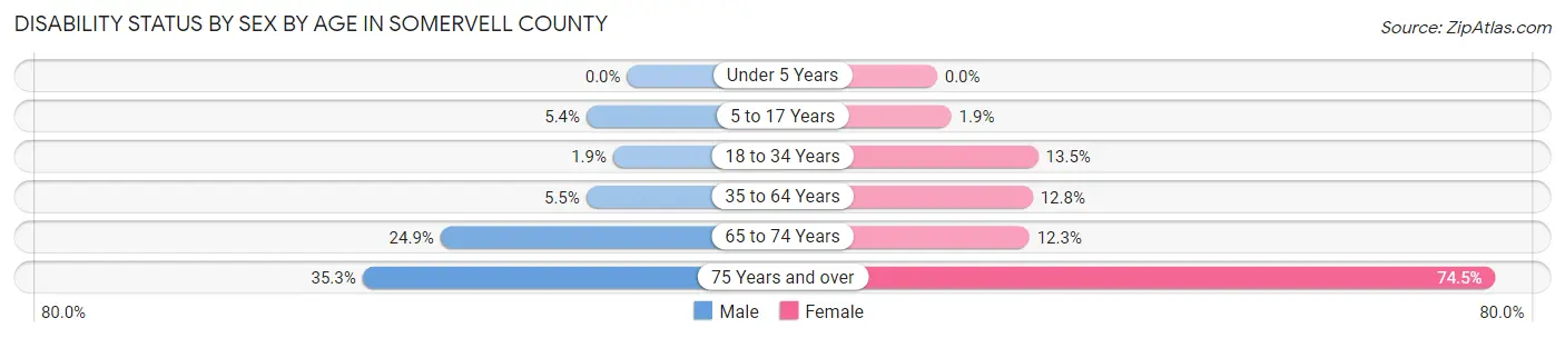 Disability Status by Sex by Age in Somervell County