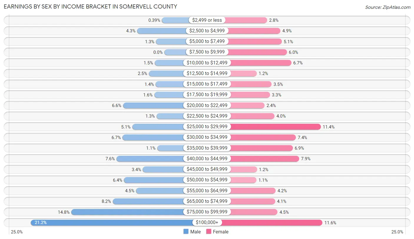 Earnings by Sex by Income Bracket in Somervell County