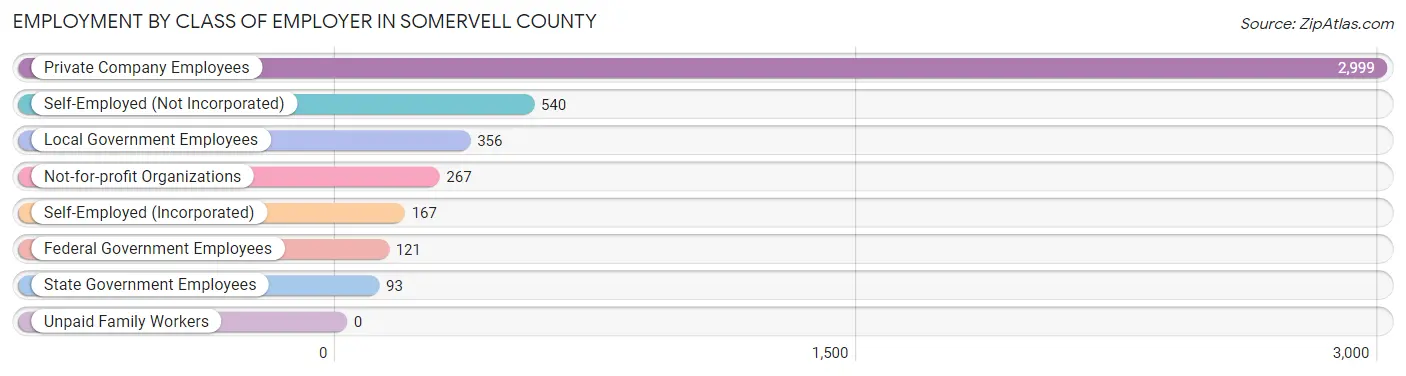 Employment by Class of Employer in Somervell County