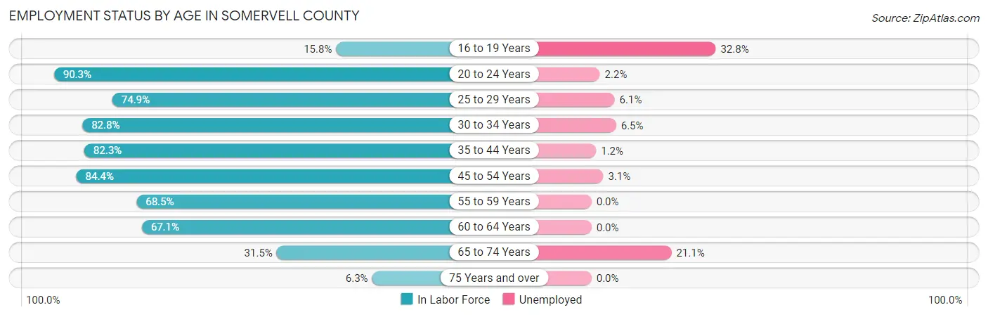 Employment Status by Age in Somervell County