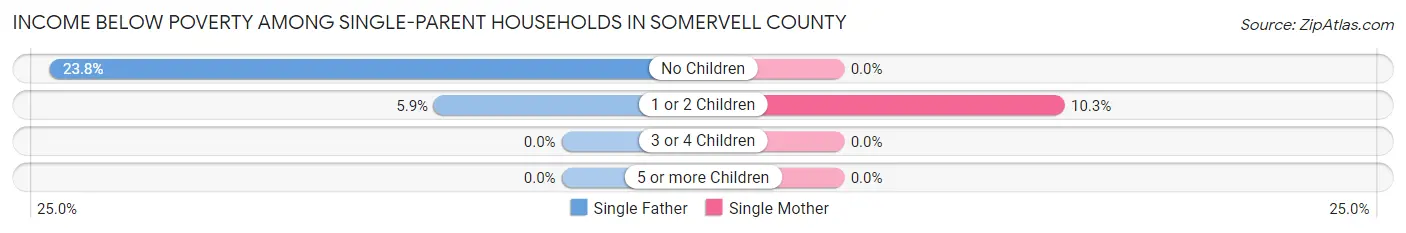Income Below Poverty Among Single-Parent Households in Somervell County