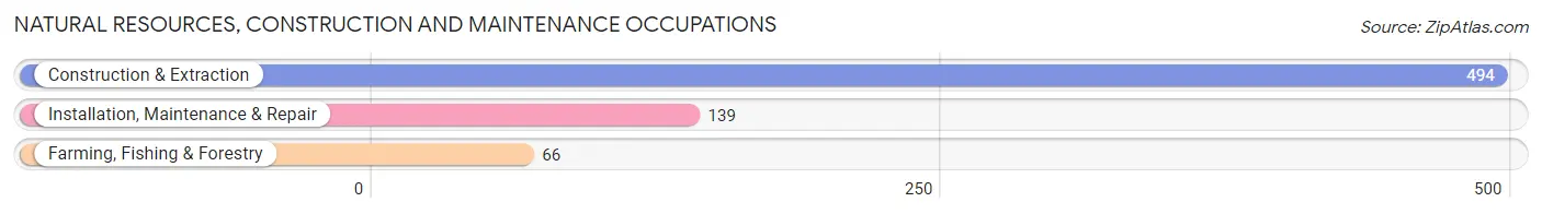Natural Resources, Construction and Maintenance Occupations in Somervell County