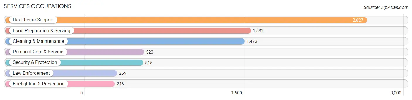Services Occupations in Starr County