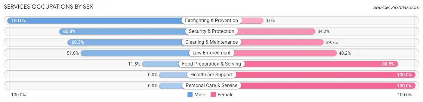 Services Occupations by Sex in Stephens County