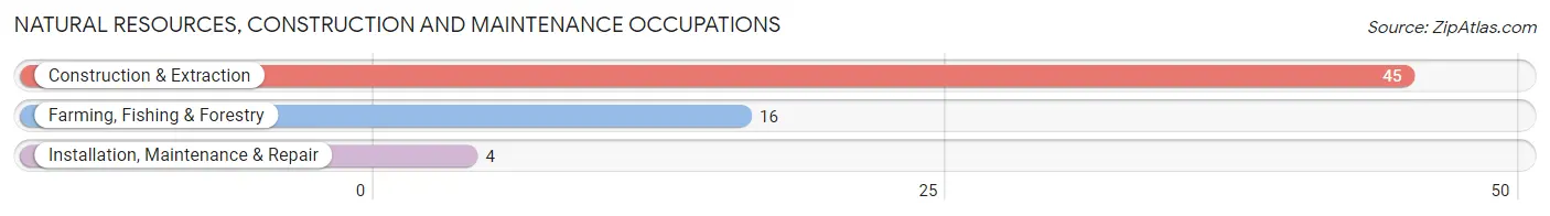 Natural Resources, Construction and Maintenance Occupations in Sterling County
