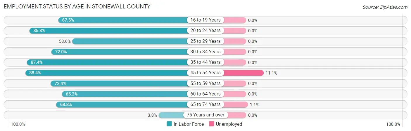 Employment Status by Age in Stonewall County