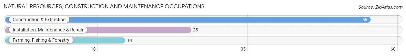 Natural Resources, Construction and Maintenance Occupations in Stonewall County