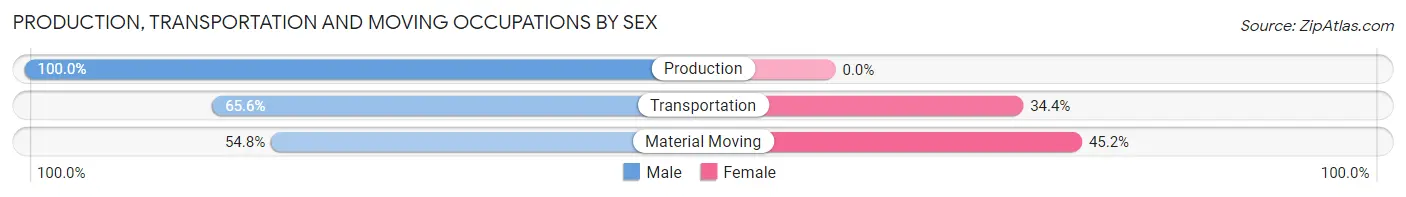 Production, Transportation and Moving Occupations by Sex in Stonewall County