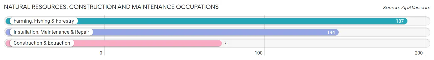 Natural Resources, Construction and Maintenance Occupations in Swisher County