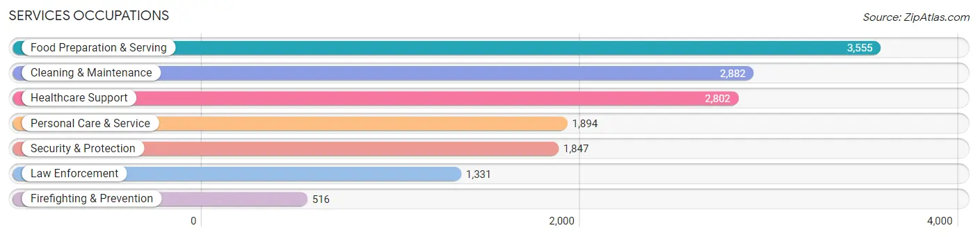 Services Occupations in Taylor County