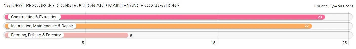Natural Resources, Construction and Maintenance Occupations in Terrell County