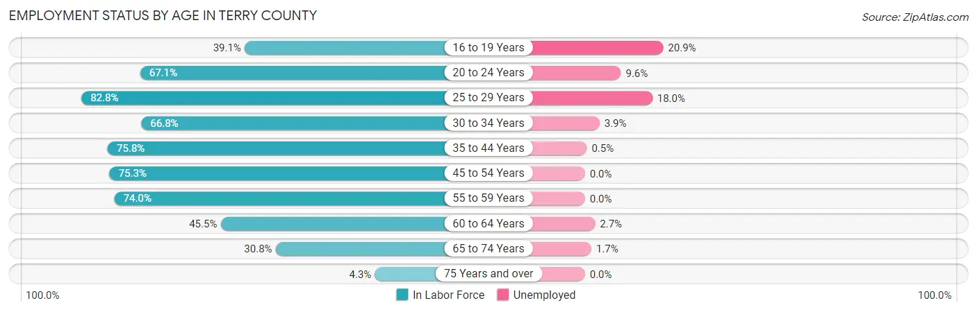 Employment Status by Age in Terry County