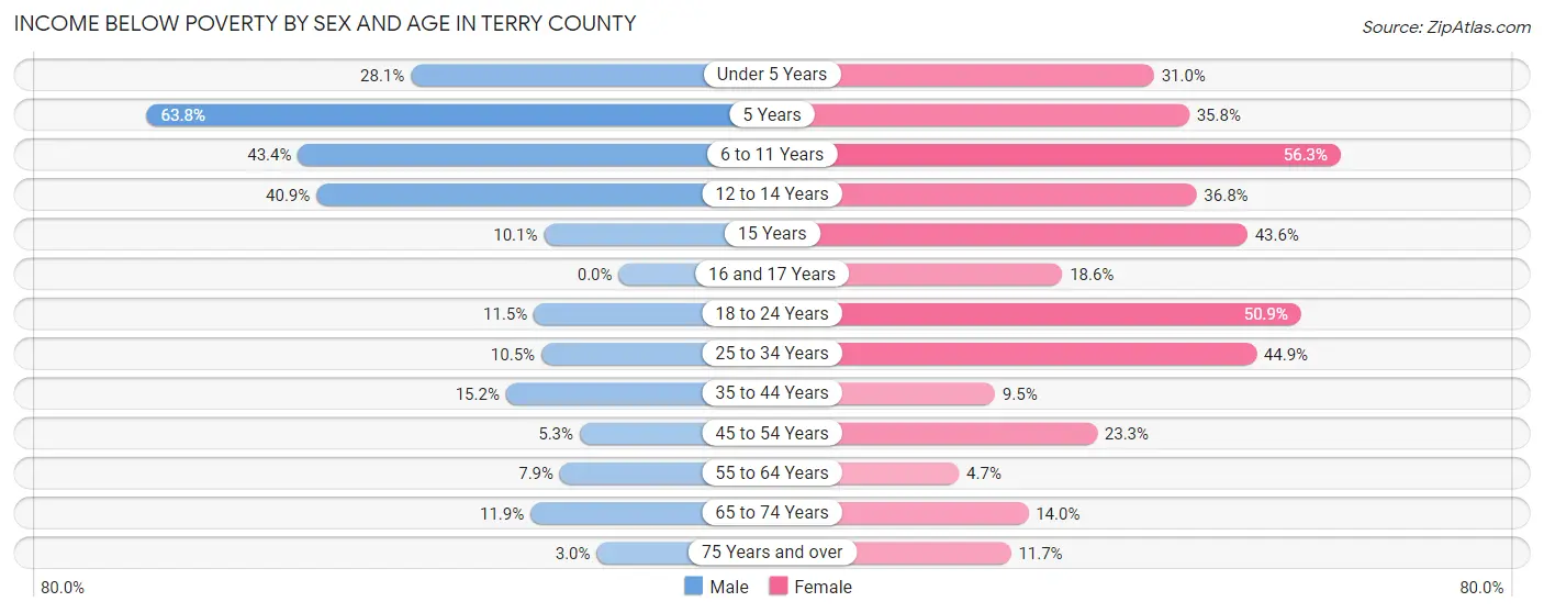 Income Below Poverty by Sex and Age in Terry County