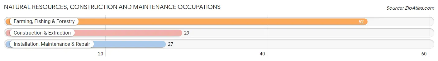 Natural Resources, Construction and Maintenance Occupations in Throckmorton County