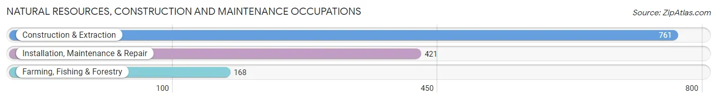 Natural Resources, Construction and Maintenance Occupations in Titus County