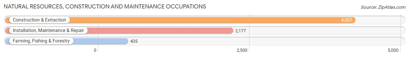 Natural Resources, Construction and Maintenance Occupations in Tom Green County