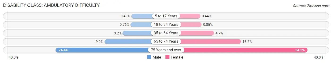 Disability in Travis County: <span>Ambulatory Difficulty</span>