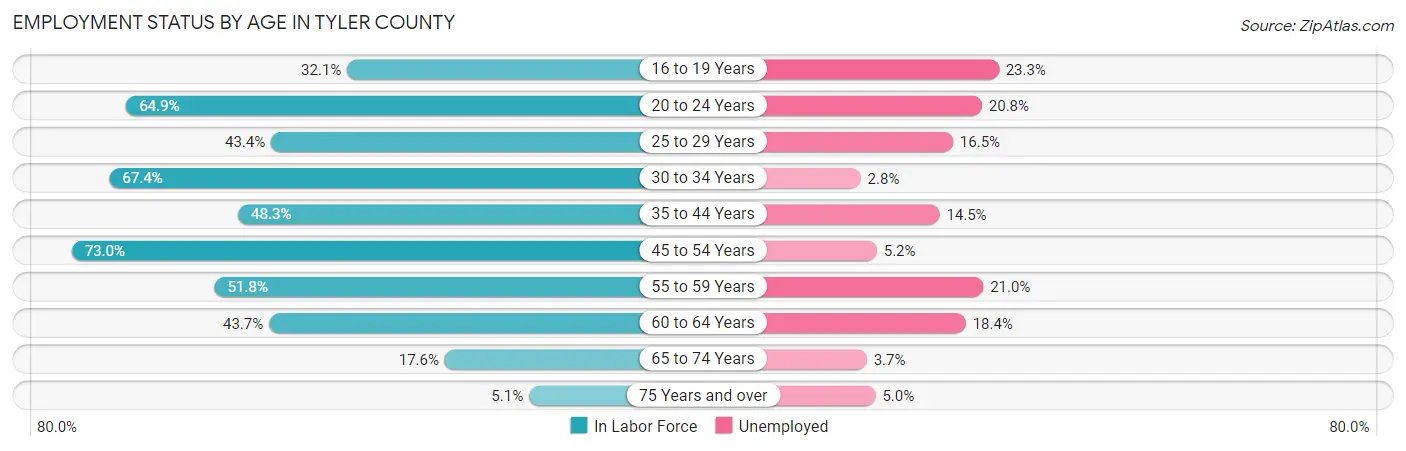 Employment Status by Age in Tyler County