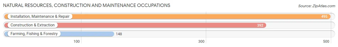 Natural Resources, Construction and Maintenance Occupations in Tyler County