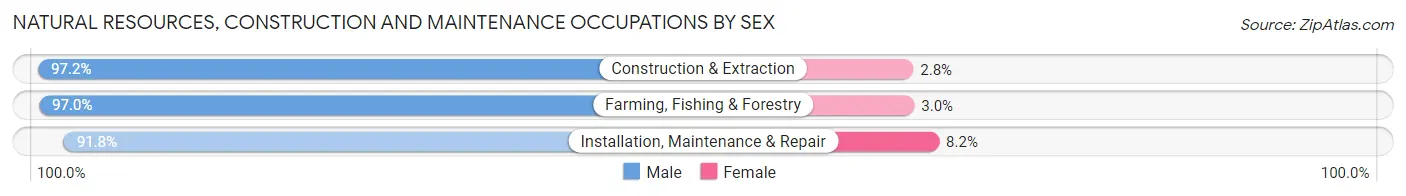 Natural Resources, Construction and Maintenance Occupations by Sex in Upshur County