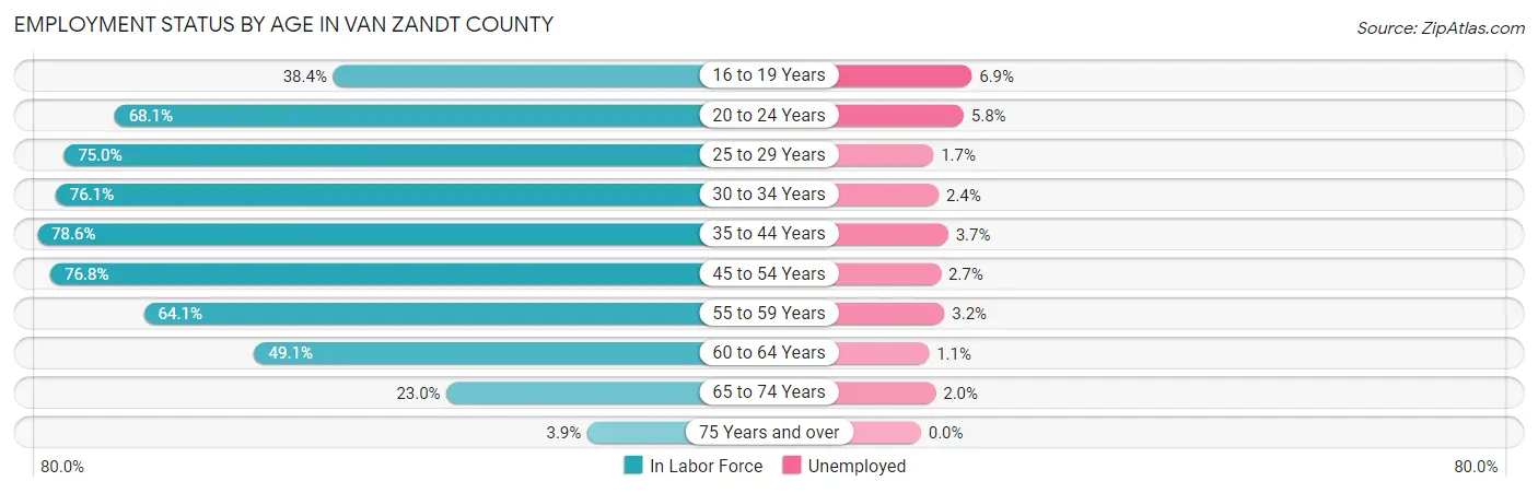 Employment Status by Age in Van Zandt County