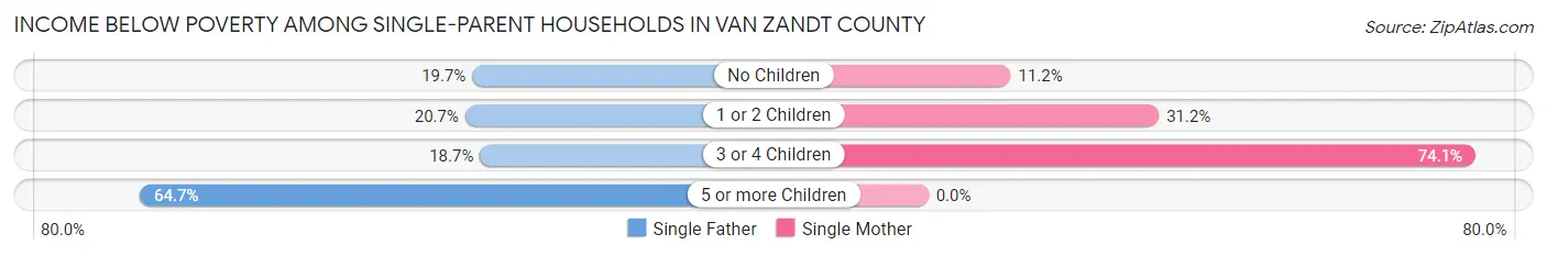 Income Below Poverty Among Single-Parent Households in Van Zandt County