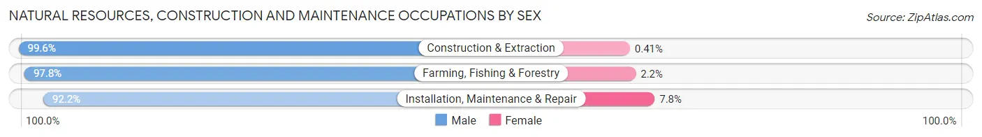 Natural Resources, Construction and Maintenance Occupations by Sex in Victoria County