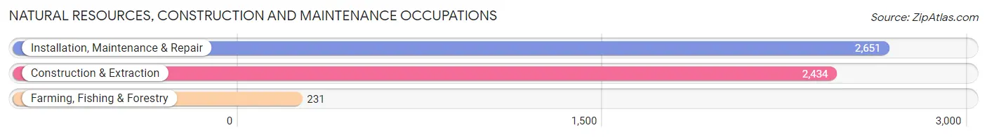Natural Resources, Construction and Maintenance Occupations in Victoria County
