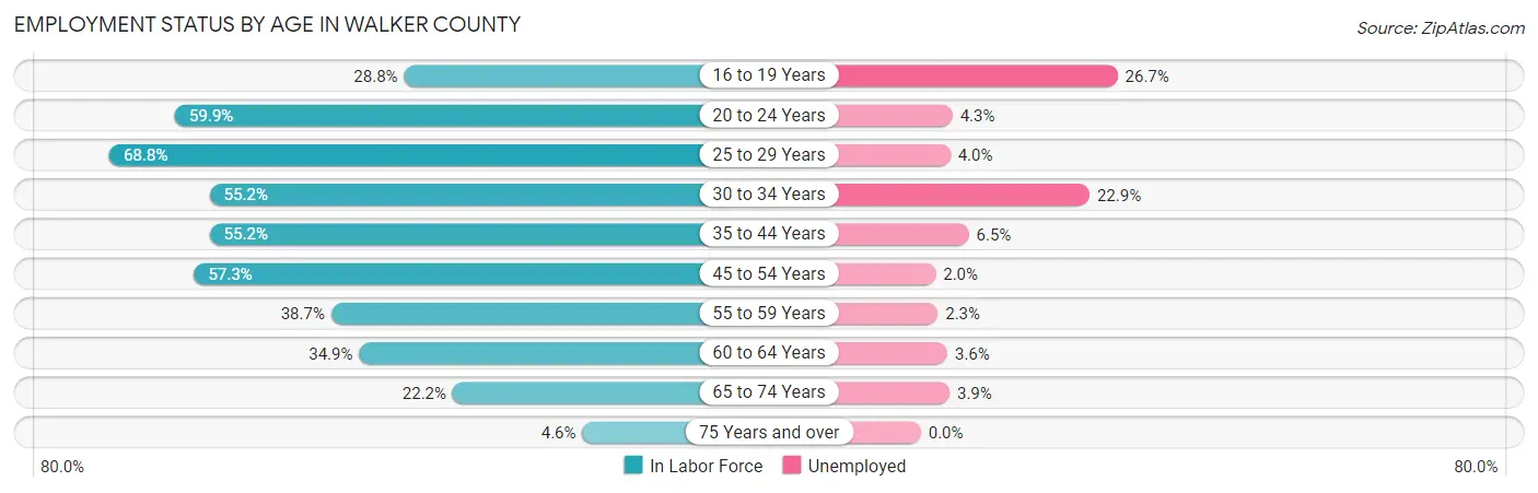 Employment Status by Age in Walker County