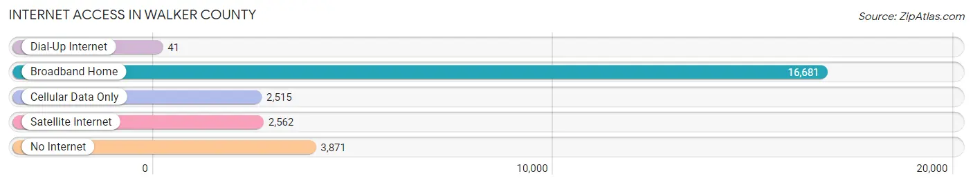 Internet Access in Walker County
