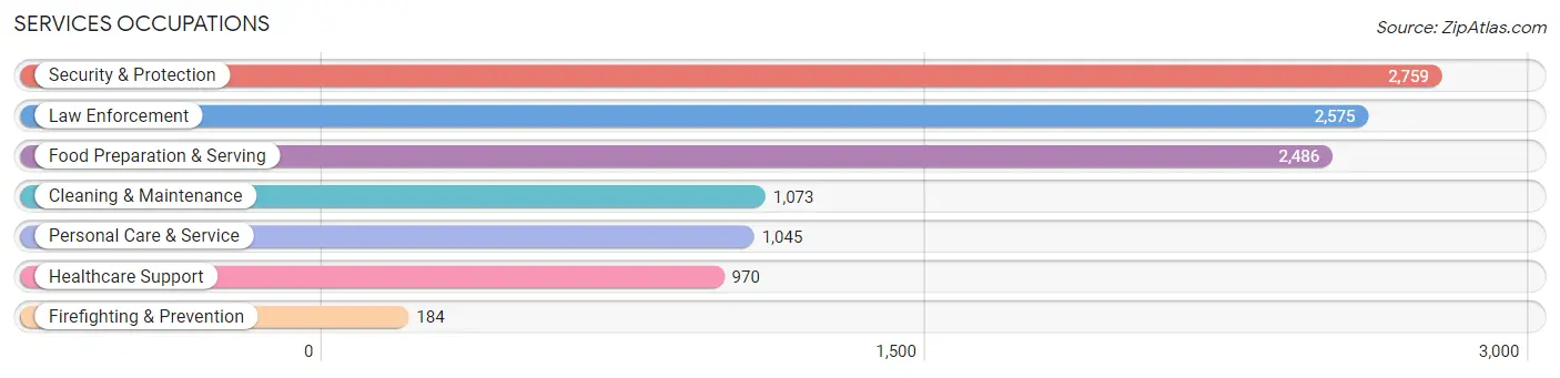 Services Occupations in Walker County