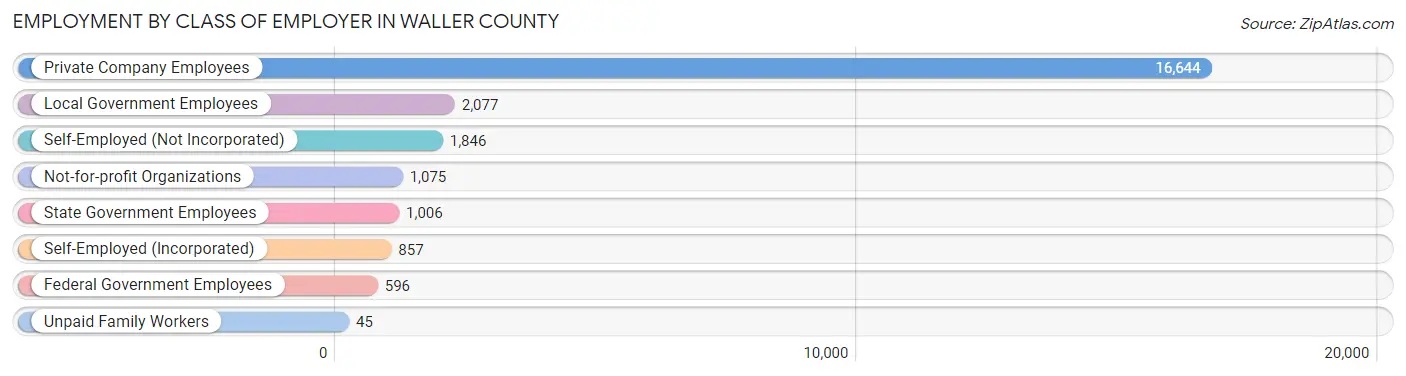 Employment by Class of Employer in Waller County