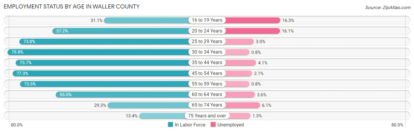 Employment Status by Age in Waller County