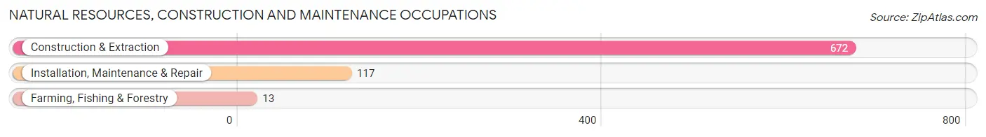 Natural Resources, Construction and Maintenance Occupations in Ward County