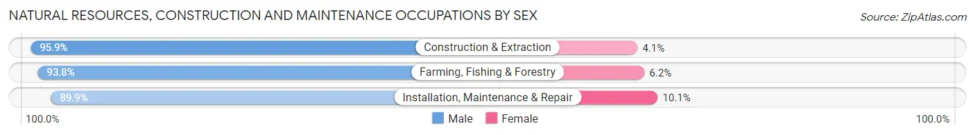Natural Resources, Construction and Maintenance Occupations by Sex in Washington County