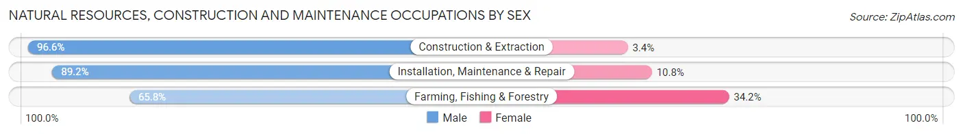 Natural Resources, Construction and Maintenance Occupations by Sex in Wharton County