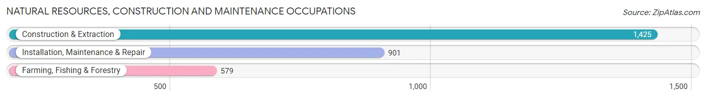 Natural Resources, Construction and Maintenance Occupations in Wharton County