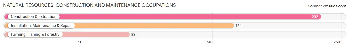 Natural Resources, Construction and Maintenance Occupations in Wheeler County