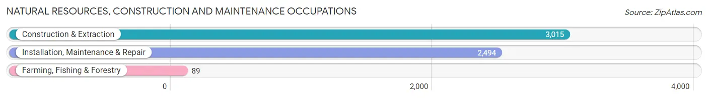 Natural Resources, Construction and Maintenance Occupations in Wichita County