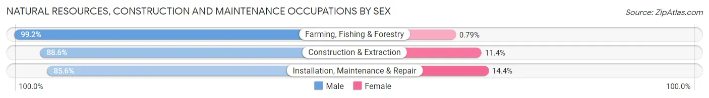 Natural Resources, Construction and Maintenance Occupations by Sex in Wilbarger County