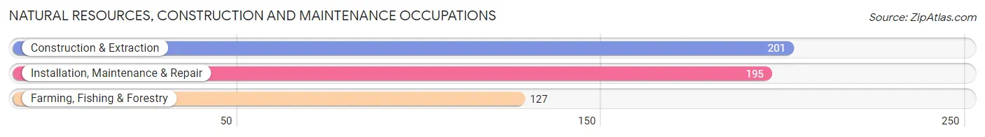 Natural Resources, Construction and Maintenance Occupations in Wilbarger County