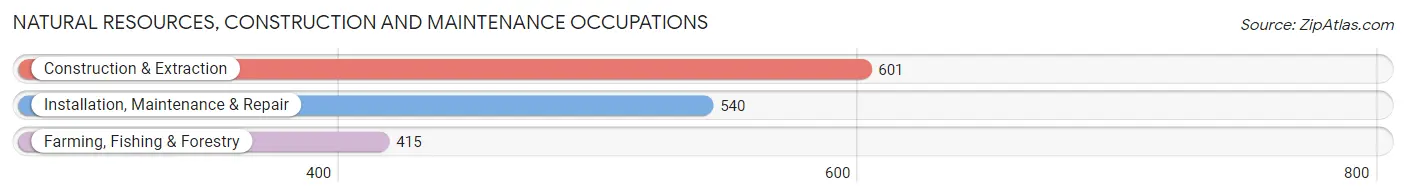Natural Resources, Construction and Maintenance Occupations in Willacy County
