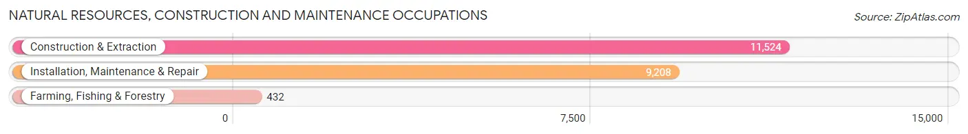 Natural Resources, Construction and Maintenance Occupations in Williamson County