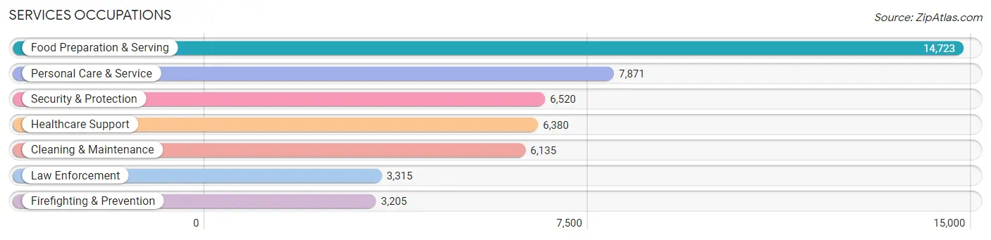 Services Occupations in Williamson County